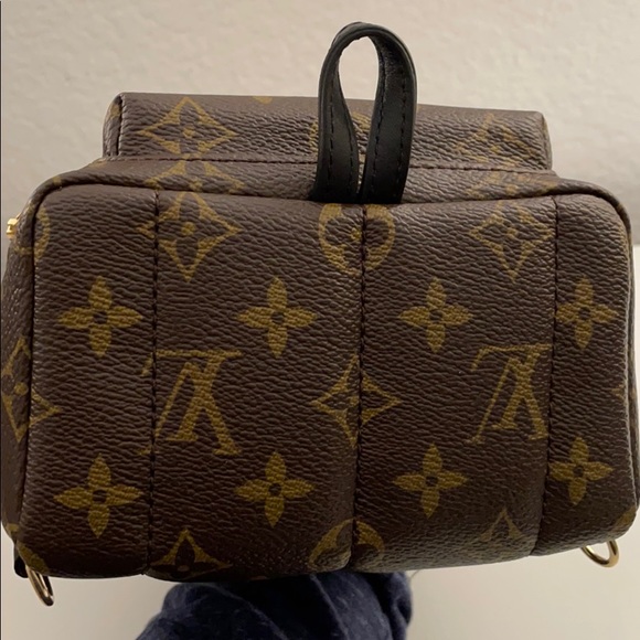 Louis Vuitton Palm Springs Mini - Picture 4 of 8